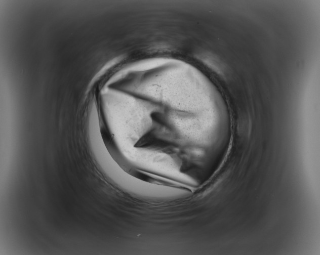 X0000083031309200703022017