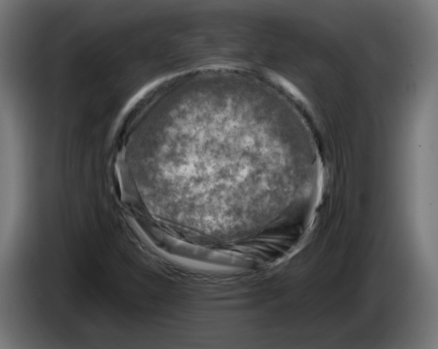 X0000083031310200703022017