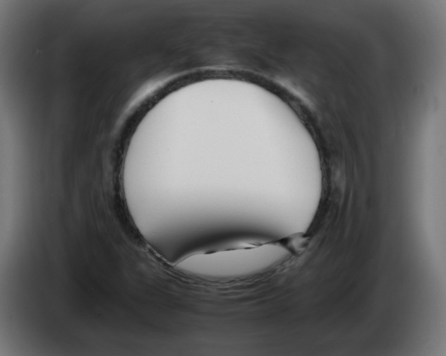 X0000083031311200703022017