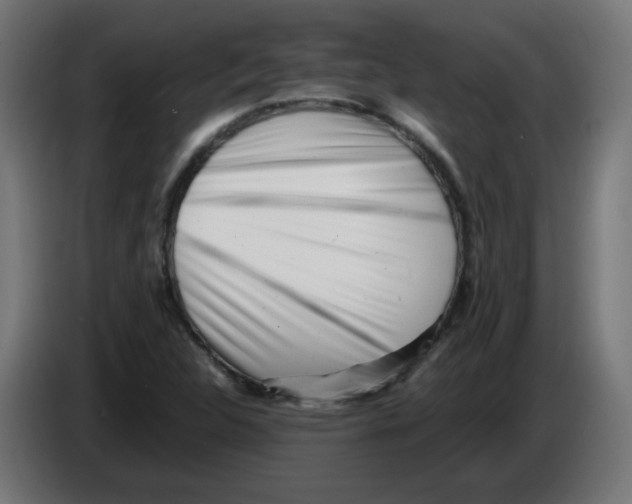 X0000083031312200703022017