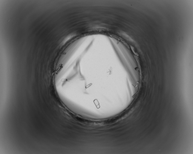 X0000083031313200703022017