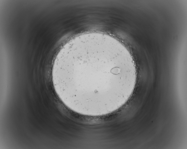 X0000083031314200703022017