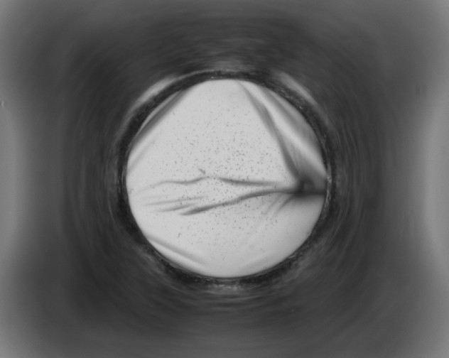 X0000083031315200703022017