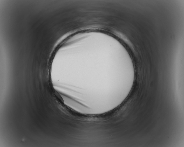 X0000083031316200703022017