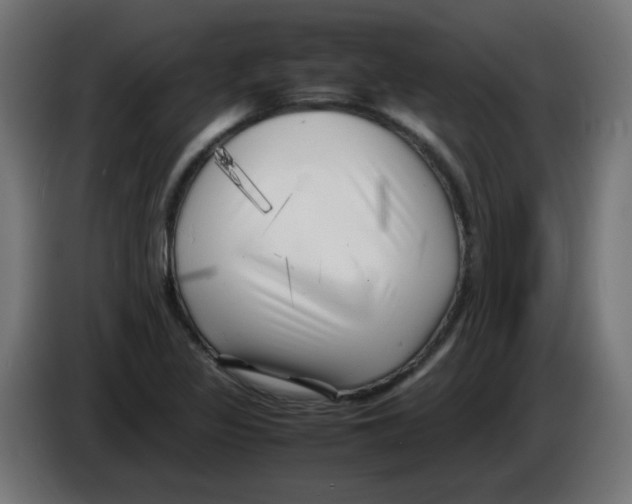 X0000083031317200703022017