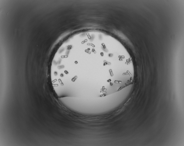 X0000083031318200703022017