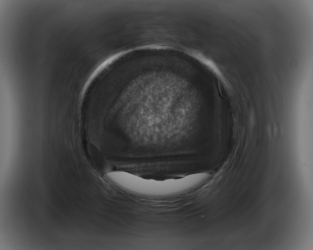 X0000083031319200703022017