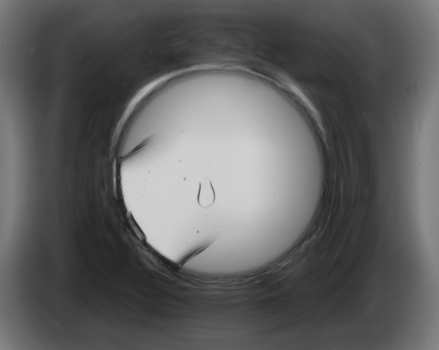 X0000083031320200703022017