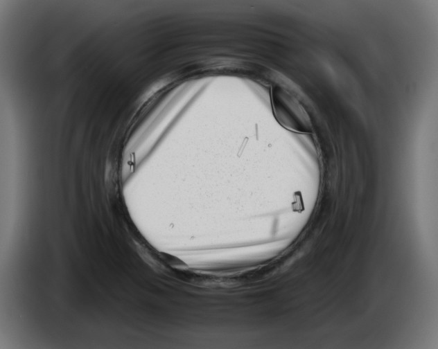 X0000083031321200703022017