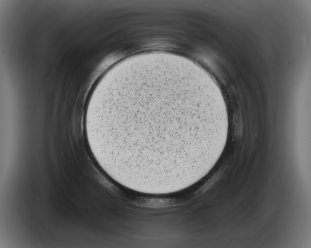 X0000083031322200703022017