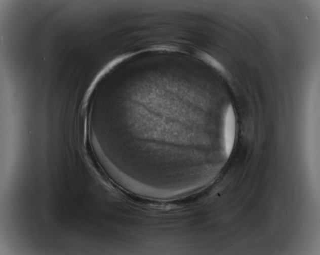 X0000083031323200703022017