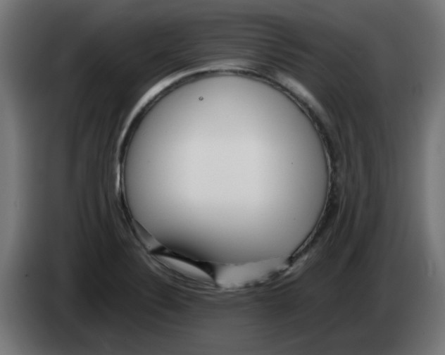 X0000083031324200703022017