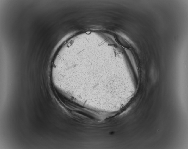 X0000083031325200703022017