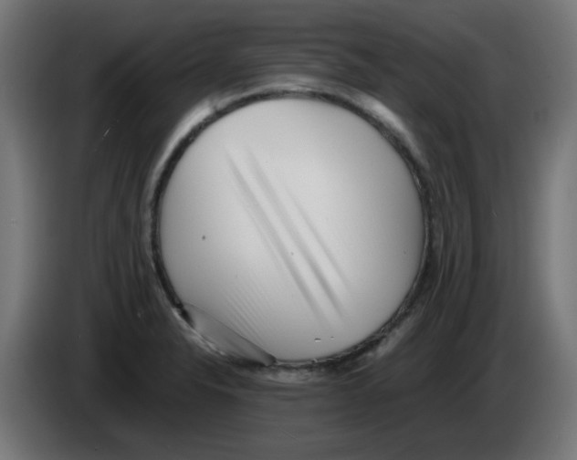 X0000083031326200703022017