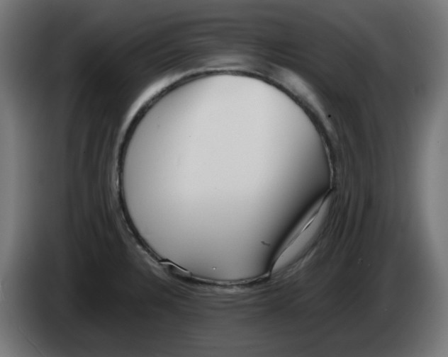 X0000083031328200703022017