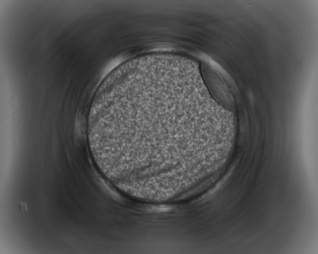 X0000083031329200703022017