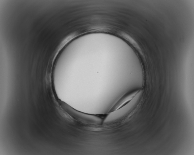 X0000083031330200703022017