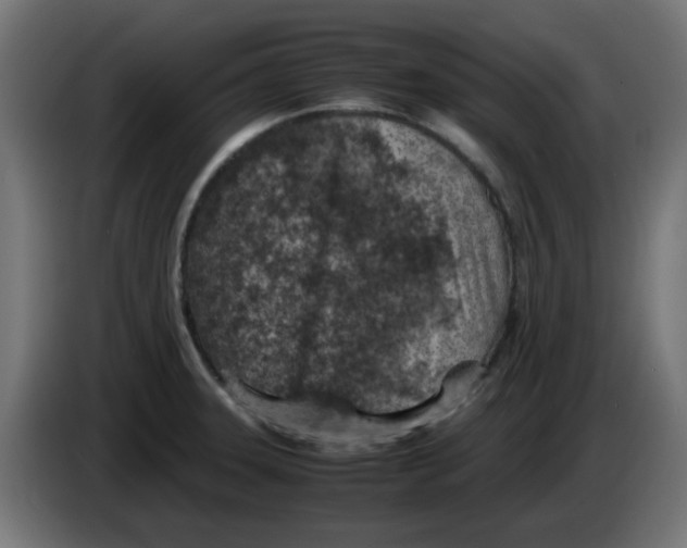 X0000083031331200703022017