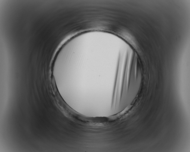 X0000083031332200703022017