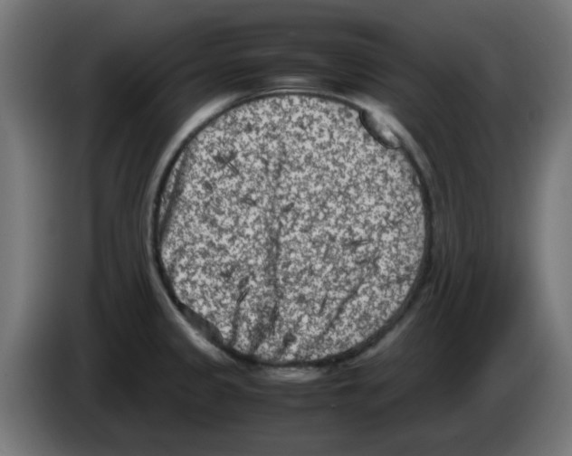 X0000083031333200703022017