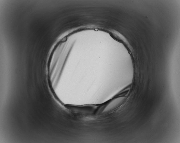 X0000083031335200703022017