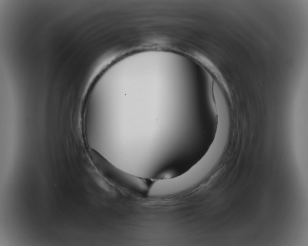 X0000083031336200703022017