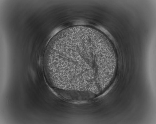 X0000083031337200703022017