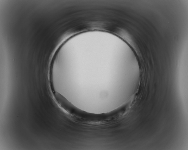 X0000083031339200703022017