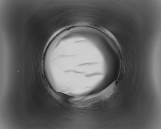 X0000083031340200703022018