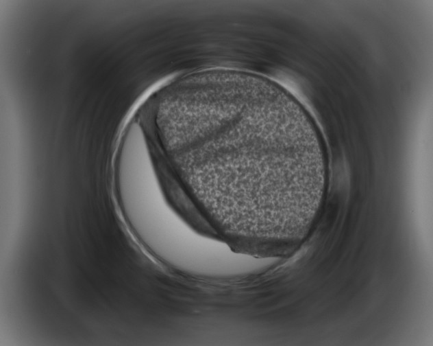 X0000083031341200703022018