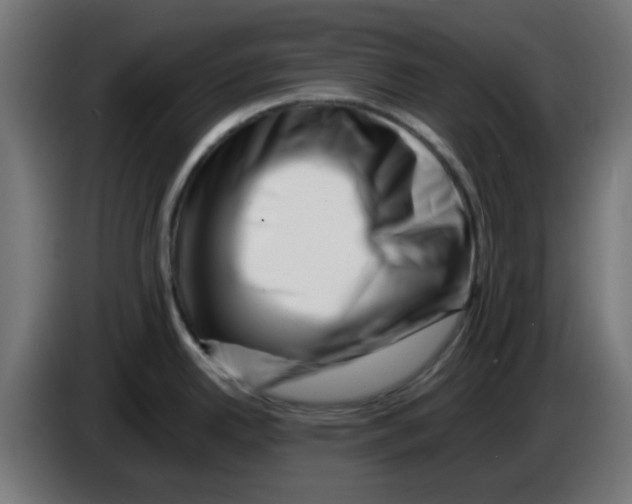 X0000083031342200703022018