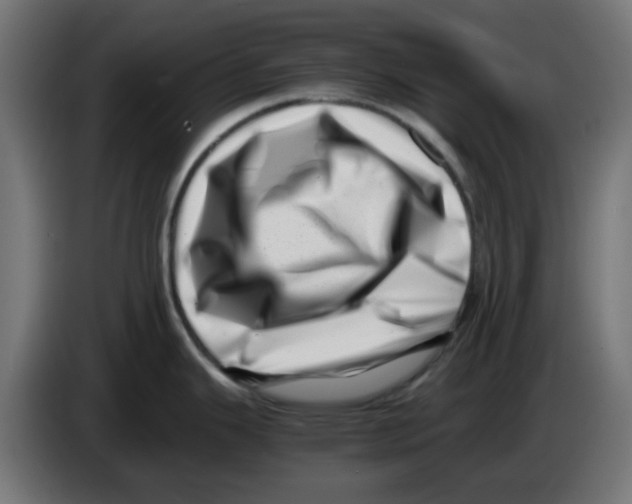 X0000083031343200703022018