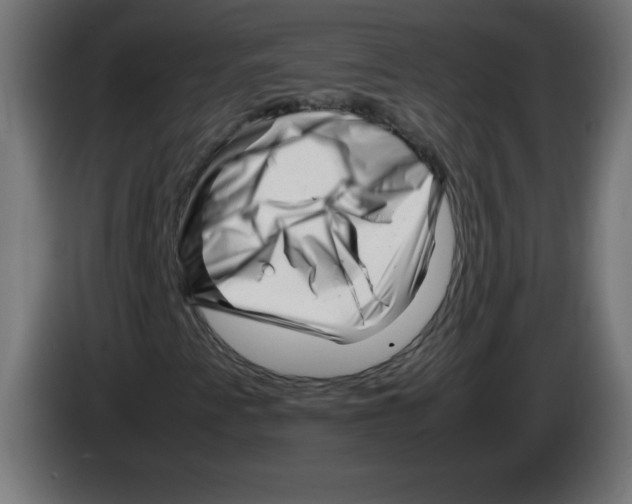 X0000083031345200703022017