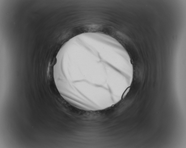 X0000083031346200703022017