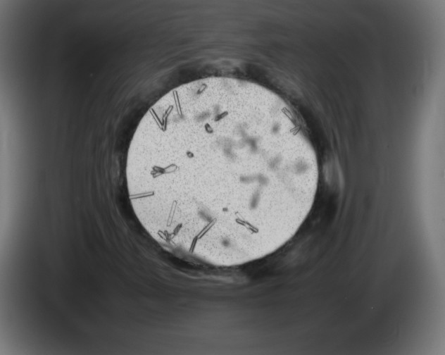 X0000083031347200703022017