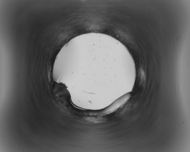 X0000083031348200703022017