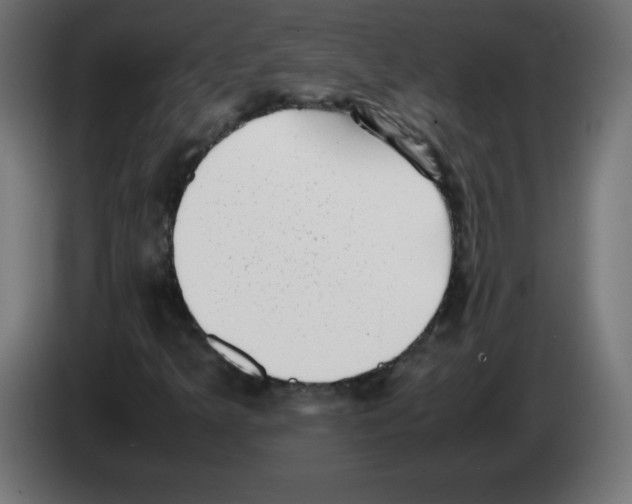 X0000083031349200703022017