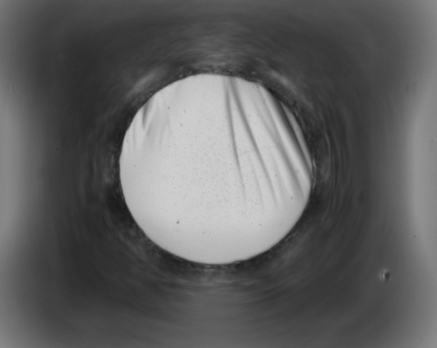 X0000083031350200703022017