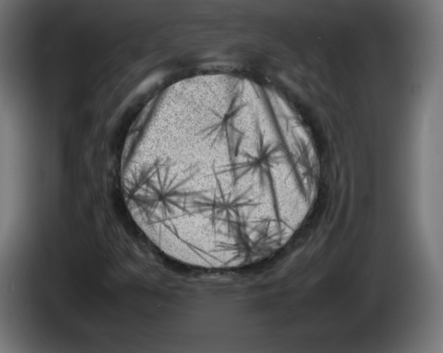 X0000083031351200703022017