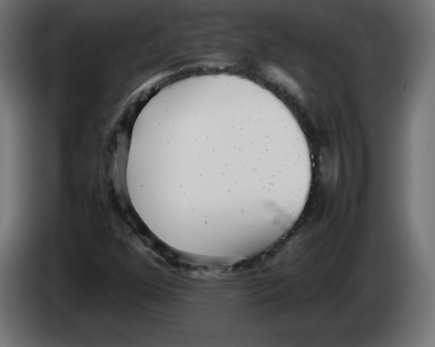 X0000083031352200703022017