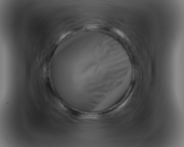 X0000083031353200703022017