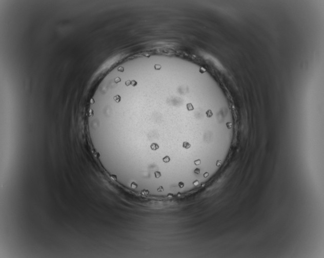 X0000083031354200703022017