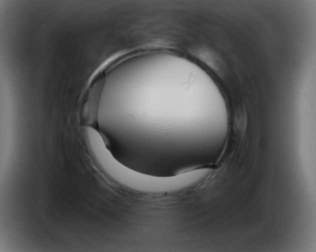 X0000083031356200703022017