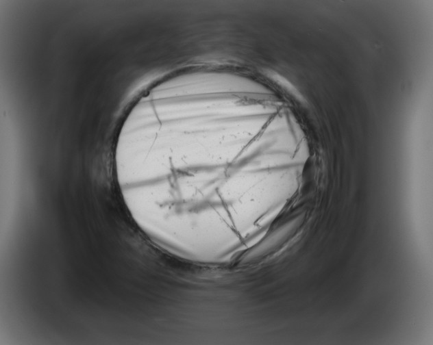 X0000083031358200703022017