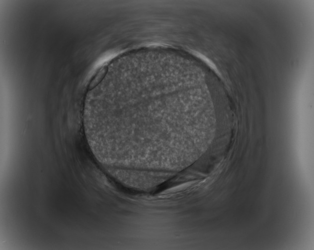 X0000083031359200703022017