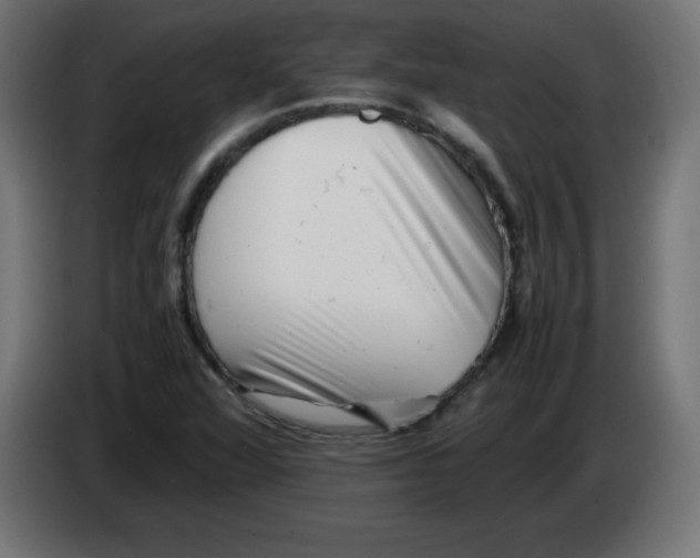 X0000083031360200703022017