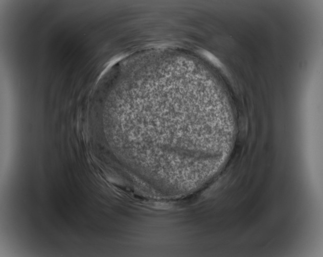 X0000083031361200703022017