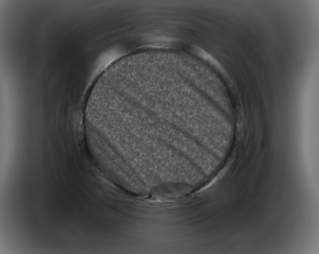 X0000083031362200703022017