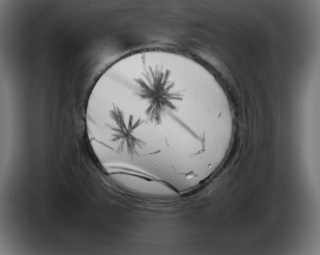 X0000083031363200703022017