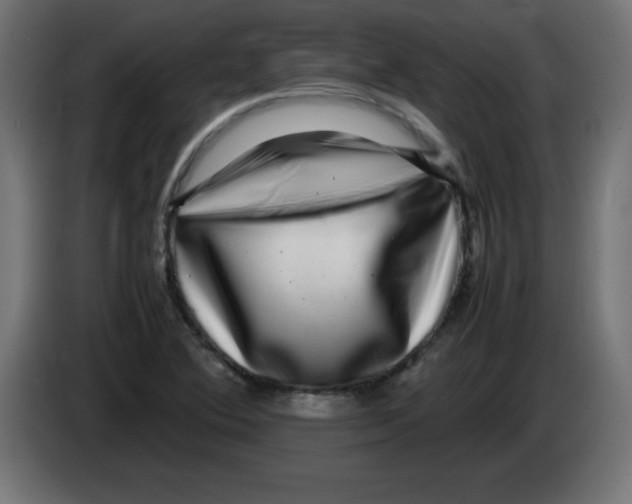 X0000083031364200703022017